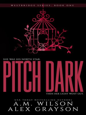 cover image of Pitch Dark